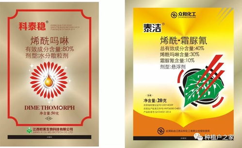 百香果高產(chǎn)高效的管理秘籍 拼東丹科技助力現(xiàn)代農(nóng)業(yè)